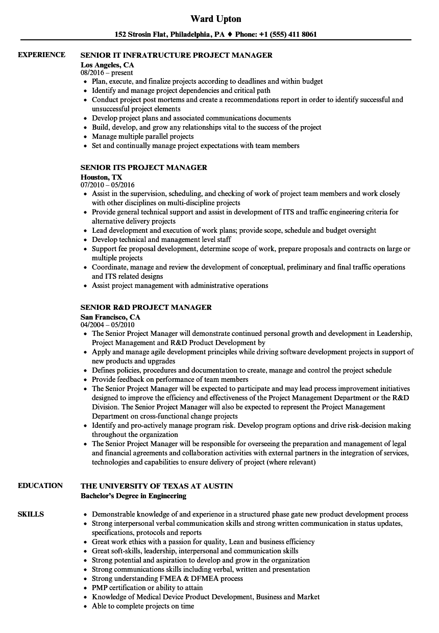senior project manager resume