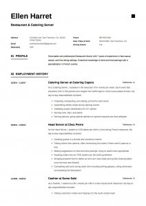 Server Resume Writing Guide 17 Examples Free Downloads with proportions 1239 X 1754