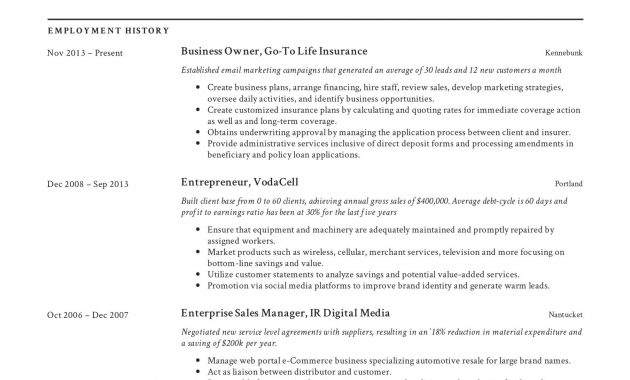 Small Business Owner Resume Guide 12 Examples Pdf 2019 in dimensions 2478 X 3507