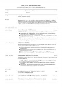 Small Business Owner Resume Guide 12 Examples Pdf 2019 intended for measurements 2478 X 3507