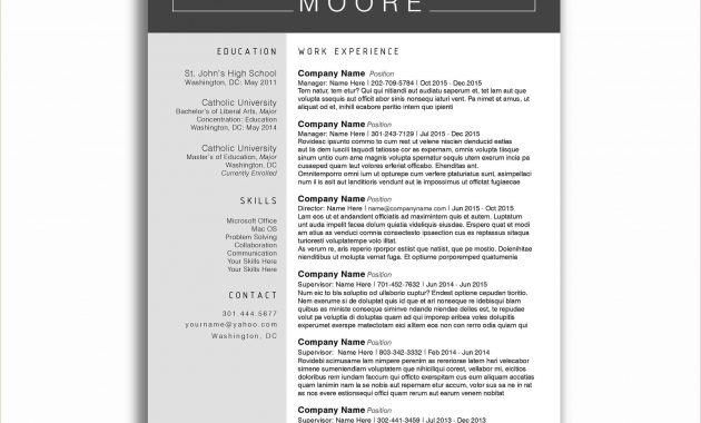 Standard Cv Format Pdf For Job In 2020 Best Resume intended for dimensions 2246 X 2400