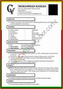 Striking Resume Template Ms Word 2007 Ideas Cv Templates In with dimensions 858 X 1207