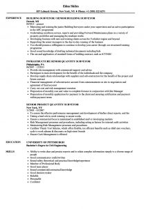 Surveyor Senior Resume Samples Velvet Jobs in dimensions 860 X 1240