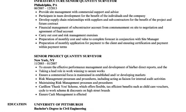 Surveyor Senior Resume Samples Velvet Jobs in dimensions 860 X 1240