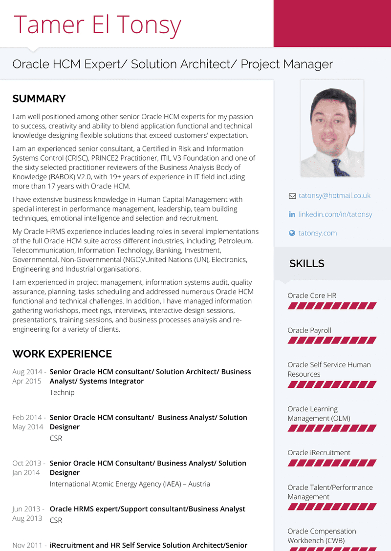 Technical Consultant Resume Samples And Templates Visualcv intended for dimensions 800 X 1128