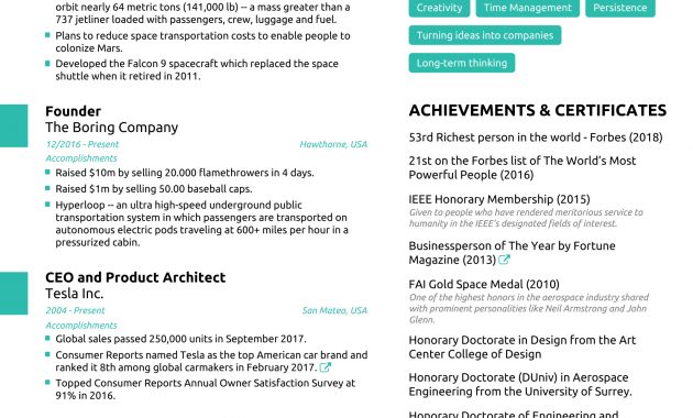 The Resume Of Elon Musk Novorsum in measurements 1653 X 2339