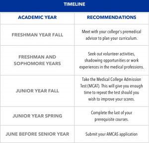 Timeline Medical Student Education intended for measurements 1356 X 1300