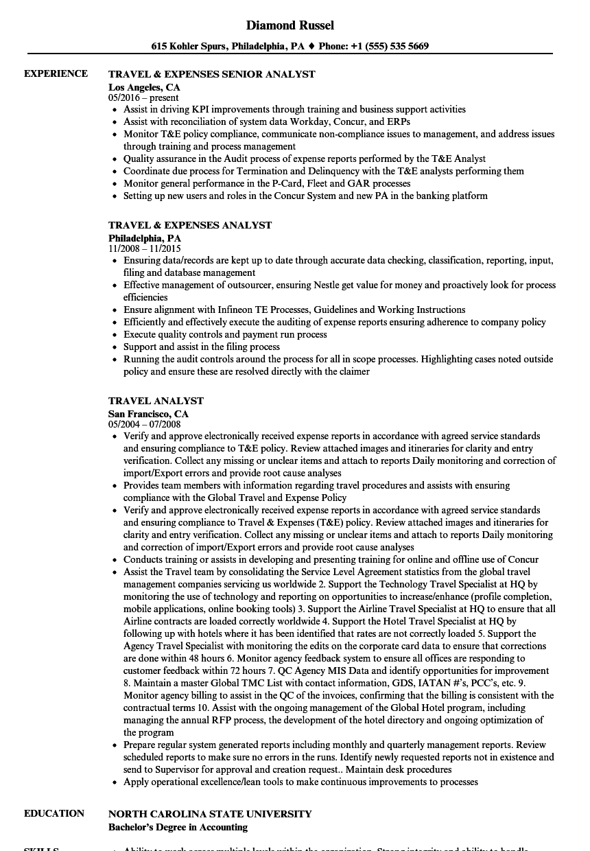 Travel Analyst Resume Samples Velvet Jobs intended for dimensions 860 X 1240