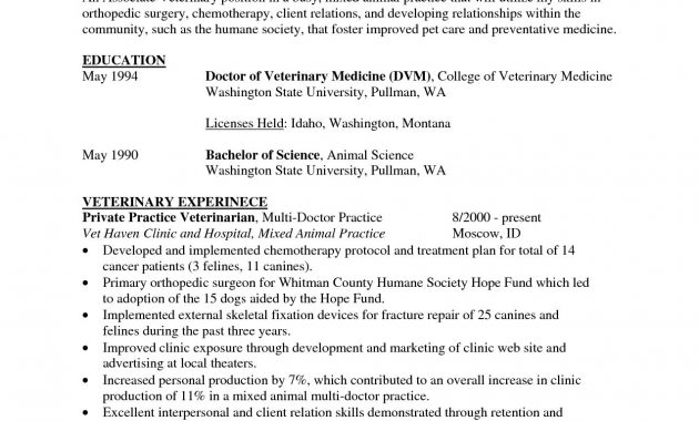 Veterinary Cv Template Debandje pertaining to measurements 1275 X 1650