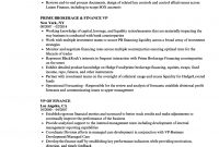 Vp Finance Resume Examples Debandje in proportions 860 X 1240