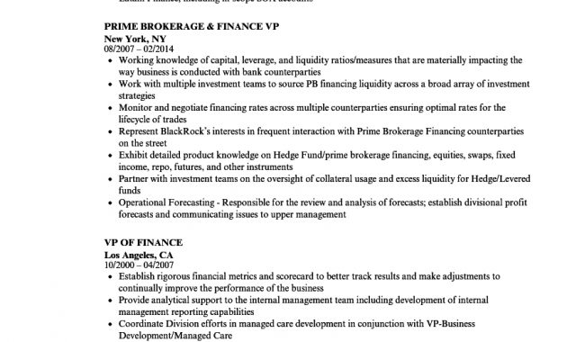 Vp Finance Resume Examples Debandje in proportions 860 X 1240