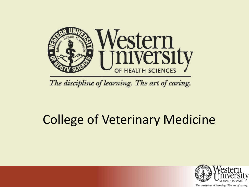 Western University Of Health Sciences College Of regarding measurements 1024 X 768